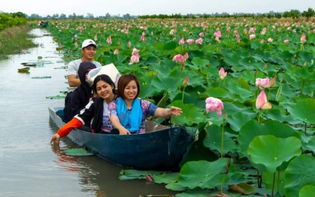 Ngẩn ngơ trước vẻ đẹp khu du lịch Đồng Sen Tháp Mười nổi tiếng Đồng Tháp 