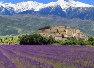 Đắm mình trước vẻ đẹp thơ mộng đầy lãng mạn của vùng Provence nước Pháp